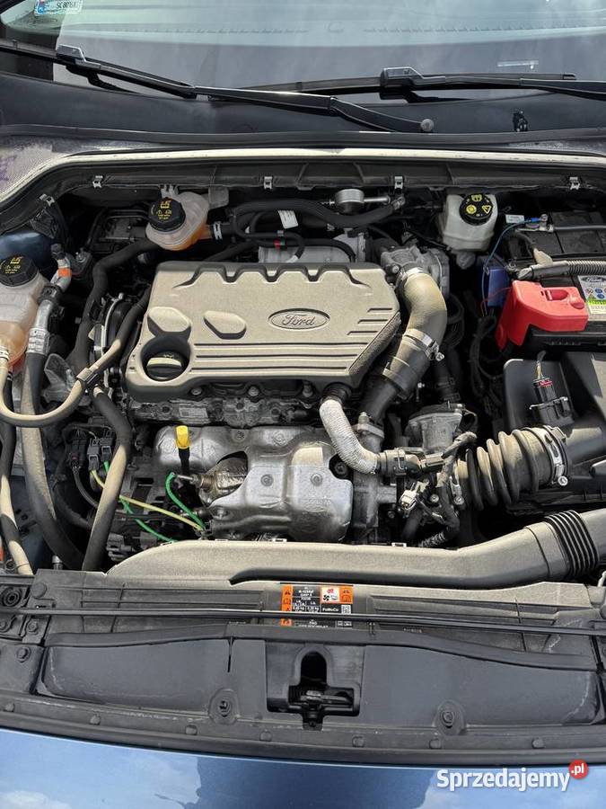 Ford Focus 2020 15 DieselTitanium Salon kujawsko-pomorskie Ciechocinek