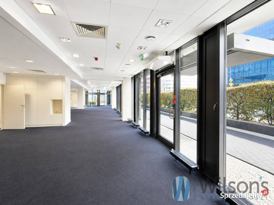Ogłoszenie lokal 558m2 Warszawa