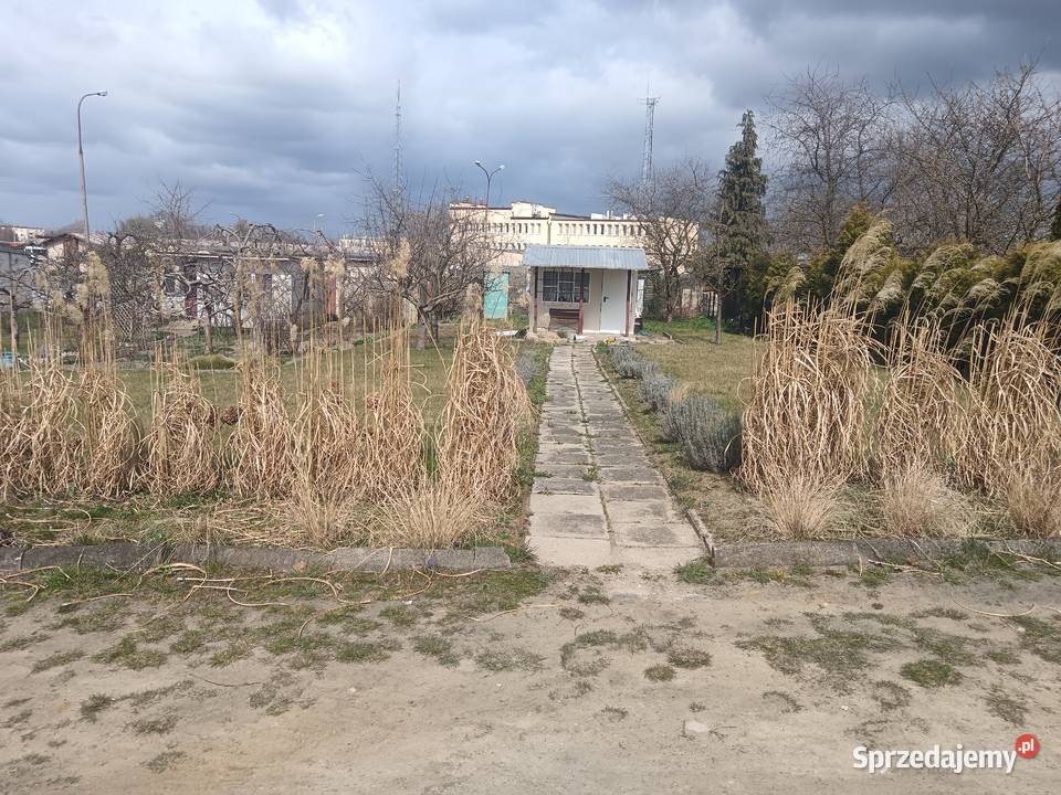 Działka ROD Polpharma Starogard Gdański sprzedam