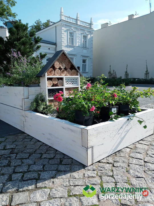 Skrzynia z betonu Warzywniak modułowy Rabatka Warszawa