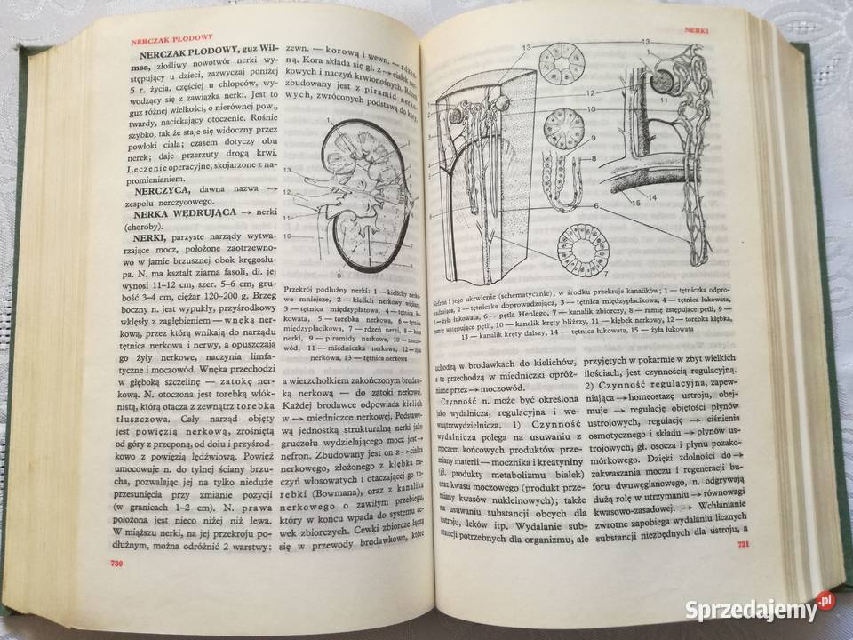 Mała encyklopedia medycyny Państwowe Wydawnictwo Łódź
