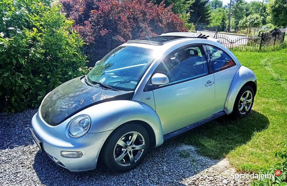 Vw Beetle GARBUS Panorama dach