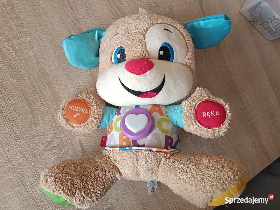 Szczeniaczek Uczniaczek Fisher