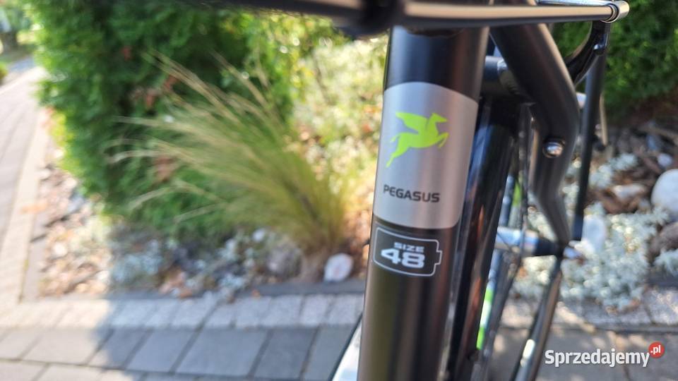 Rower Miejski Pegasus solero Chmielnik