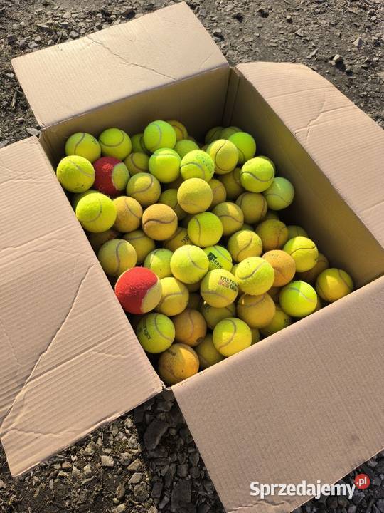 Używane Piłki Tenisowe na Sprzedaż Wrocław