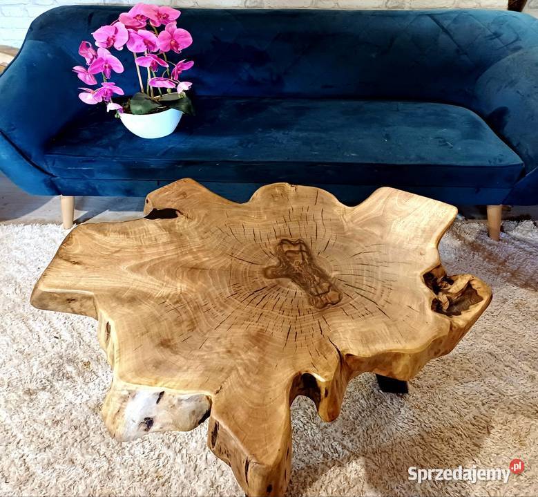 Stolik kawowy 90x77 KORZEŃ ORZECHA WŁOSKIEGO wielkopolskie Śrem