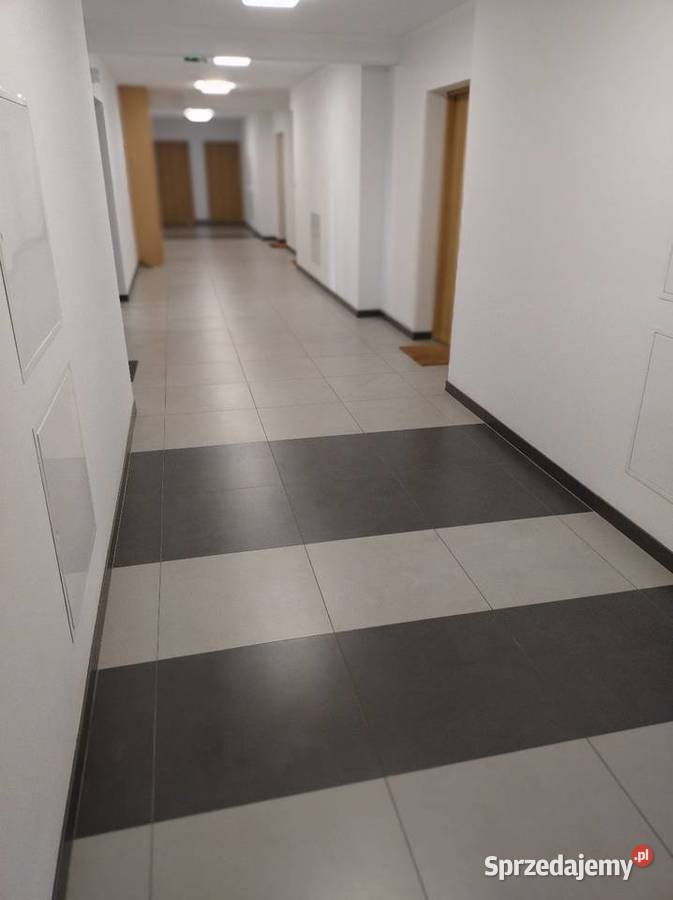 Wynajmę mieszkanie w Sępólnie Krajeńskim 55m2 Sępólno Krajeńskie