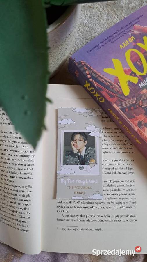 Zakładki kpop Pozostałe wielkopolskie Goliszew