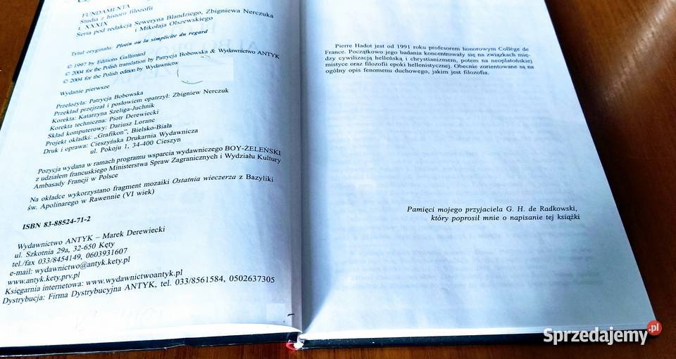 Plotyn albo Prostota spojrzenia Pierre Hadot pomorskie