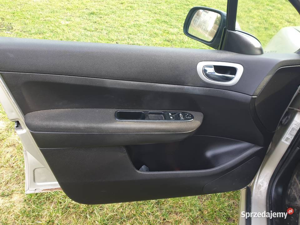 peugeot 307 20 hdi automat 4/5 307 Kostomłoty
