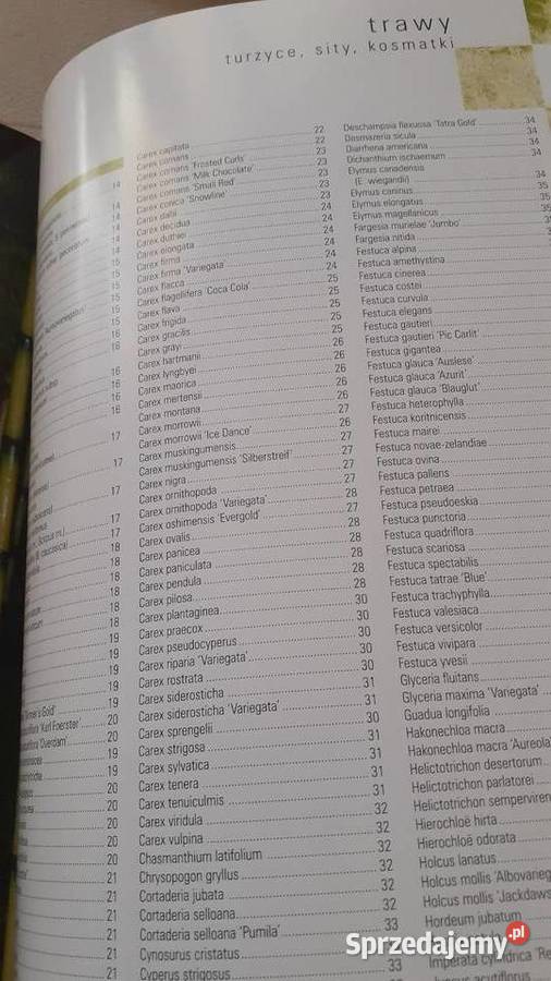 Trawy turzyce sity kosmatki Szczecin