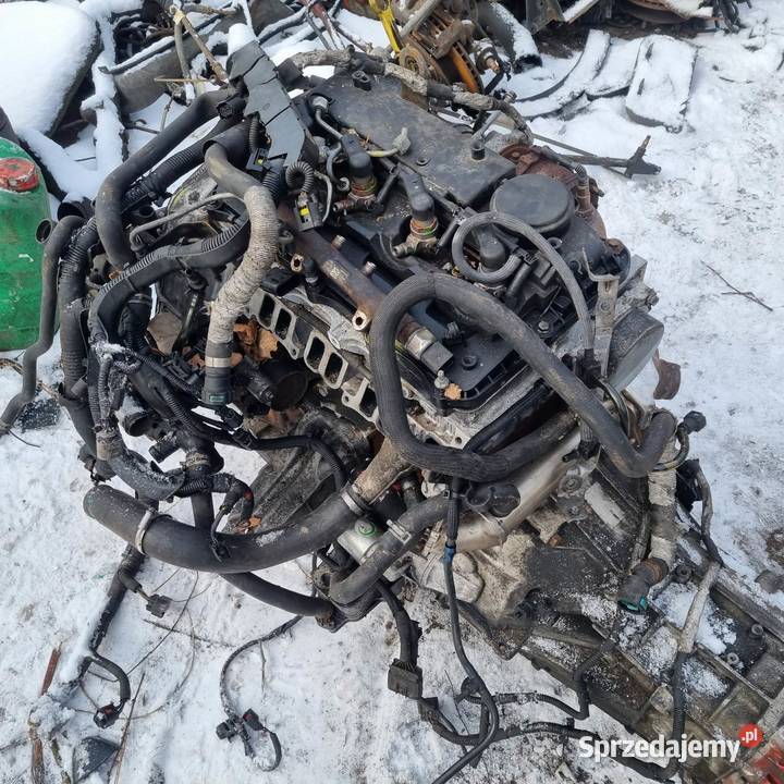 ford transit silnik euro 5 22tdci napęd tył Wałcz