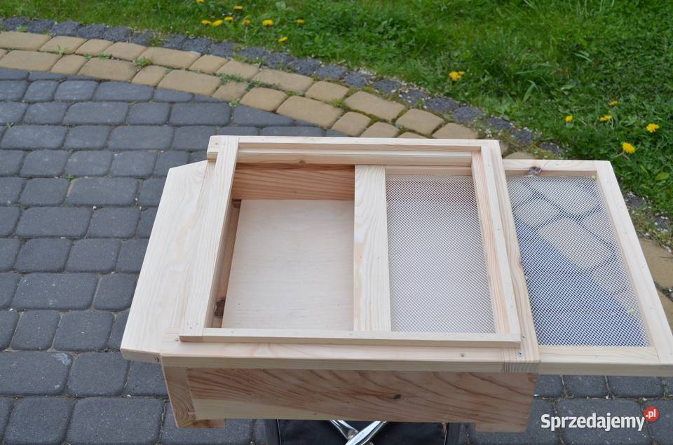 Ule wielkopolskie Chełm