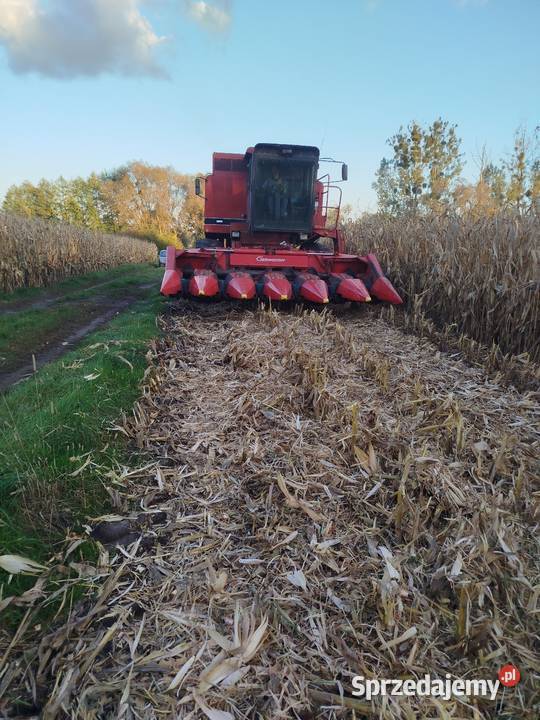 Przystawka do kukurydzy Geringhoff PC6 składana lubelskie