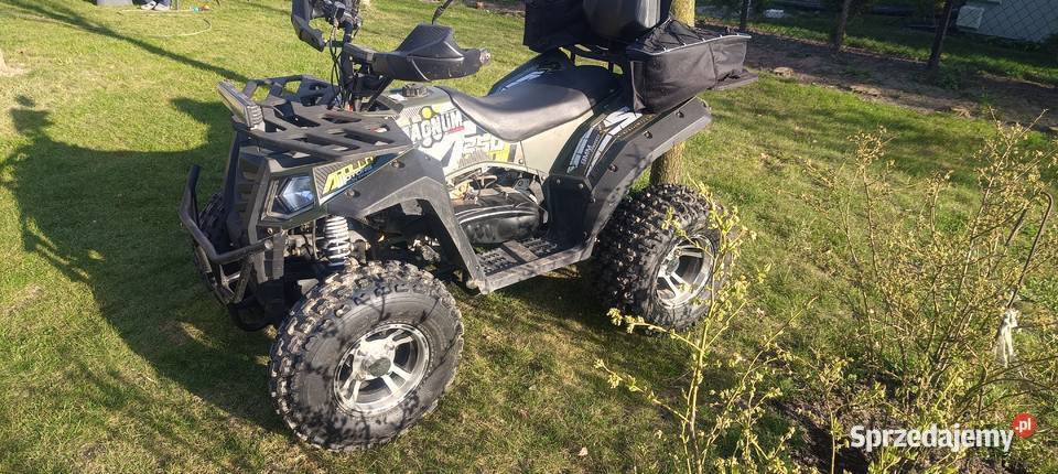 Quad Apollo Magnum 250 CC nowy dziecku idealny mazowieckie Sochaczew-Wieś