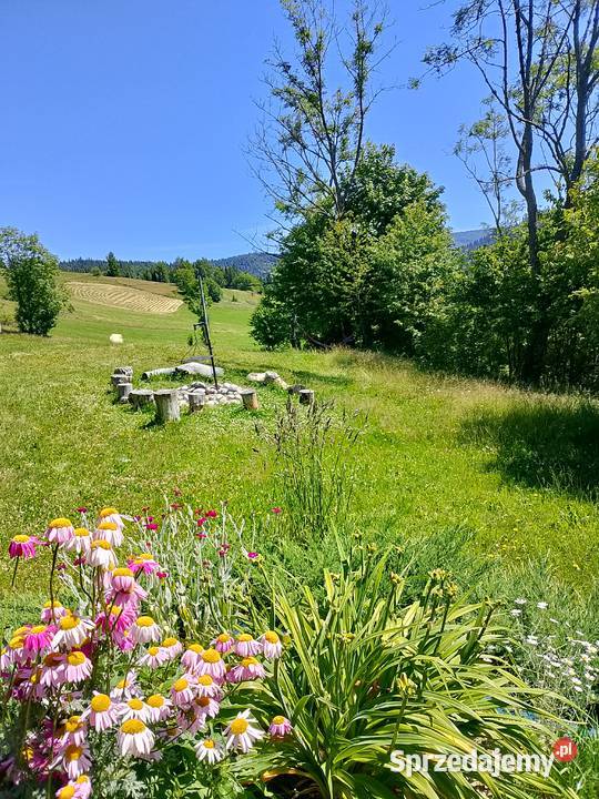 Domek w górach do wynajęcia Nowy Targ Zakopane