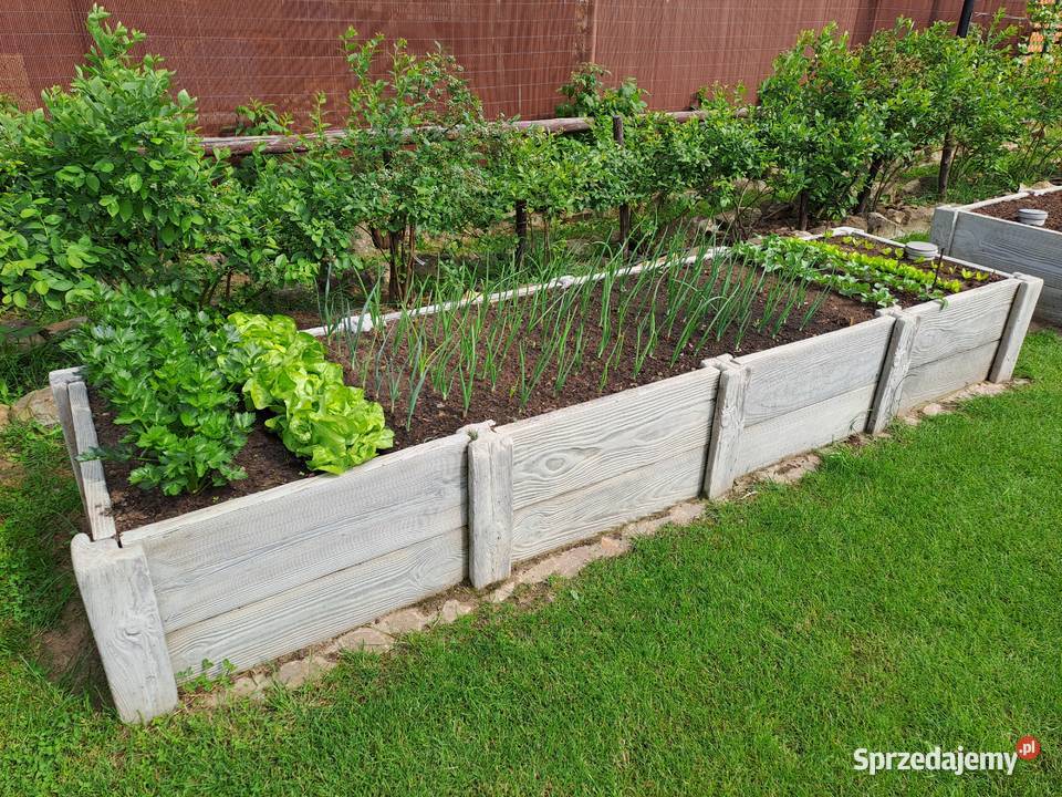 Warzywnik 4 komory SZARY Ulanów