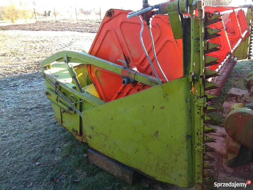 Heder do rzepaku Claas dominator Kotuń