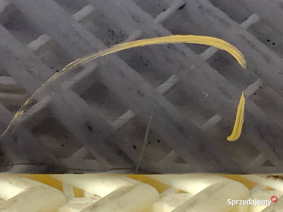 KLAPA TYŁ VW PASSAT B6 SedanLimuzyna 0510 P6P6 osobowe