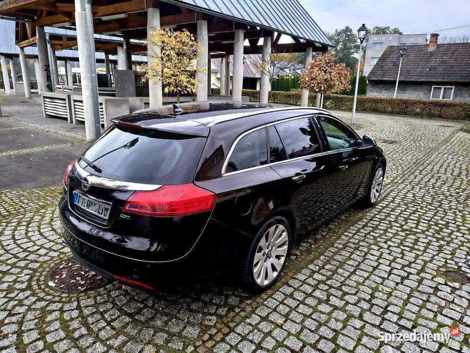 Opel Insignia 2009 20 CDTI z Włoch 160KM Bistuszowa