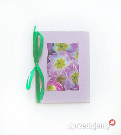 fioletowa kartka z kwiatkiem kwiat kartka bez Opole