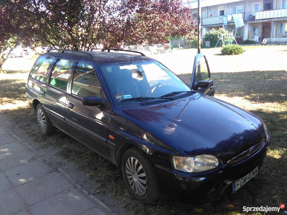 Ford Escort MK7 16 16V Zetecnie gubi oleju 1995r 1600cm3 Gorzów Wielkopolski sprzedam