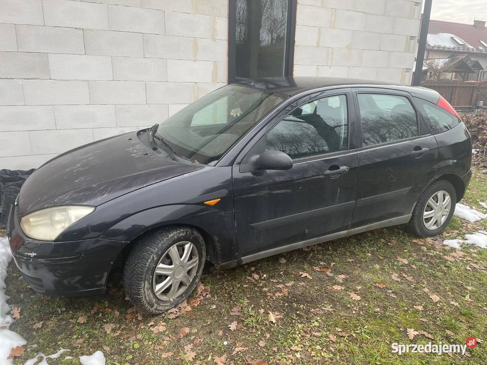 Ford Focus 2001 16 benzyna podkarpackie