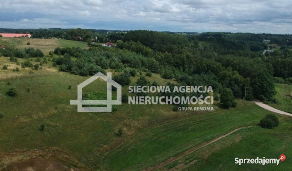 sprzedaży działki 8585m2 Koleczkowo sprzedam