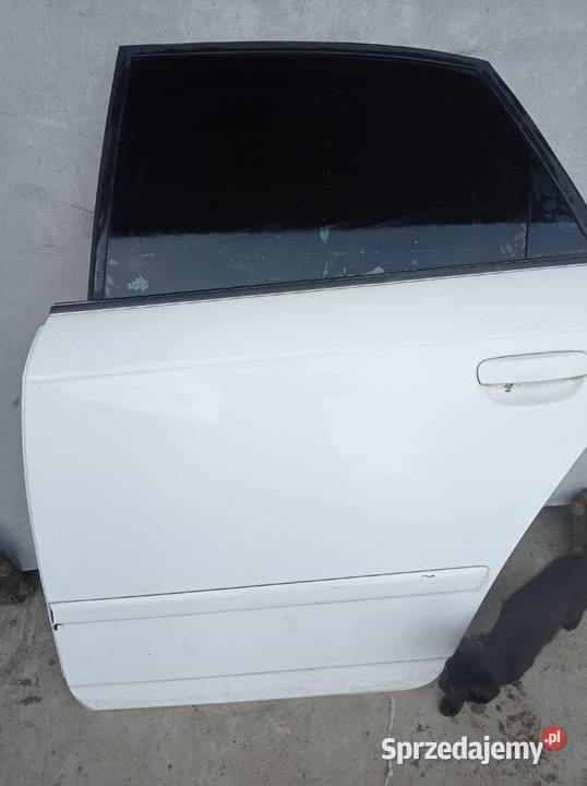 Audi A4 b7 nieuszkodzony Kielce