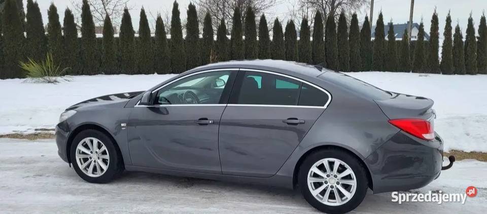 Opel Insignia 2011 Ecoflex Super Stan Sędziszów Małopolski