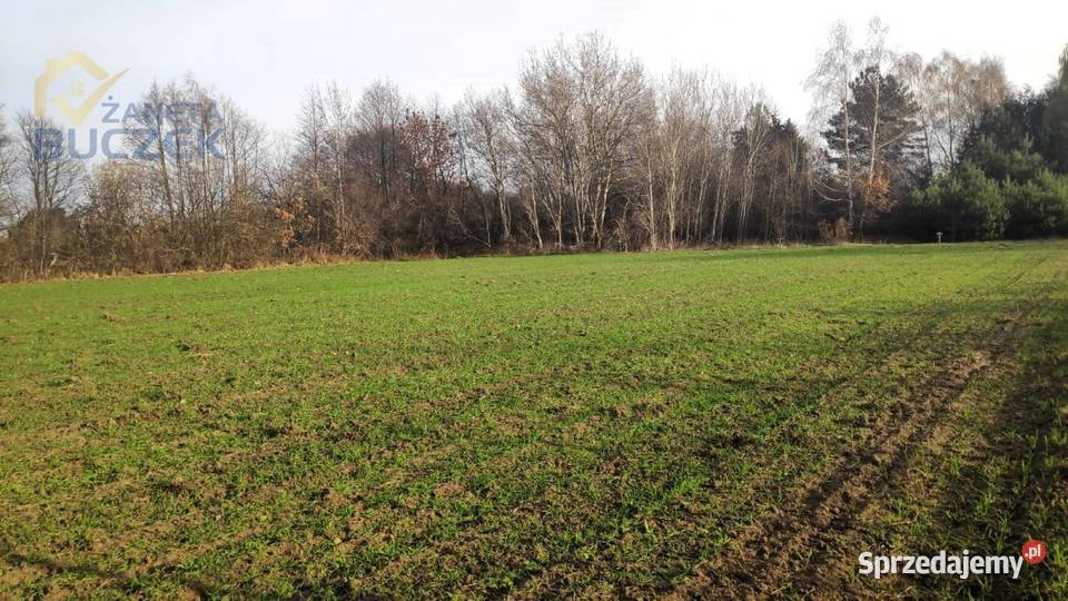 Sprzedam działki budowlanousługowe w Lubiejewie 1000m2 Lubiejew sprzedam