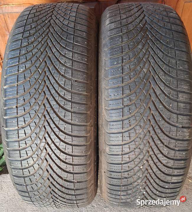 Opony całoroczne Dębica 20555 R16 para