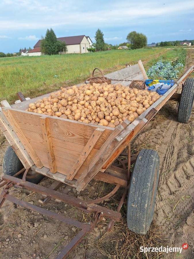 Sprzedam Zawady-Kolonia