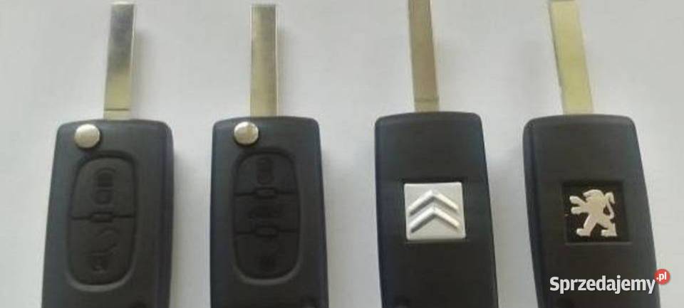 Nowa Naklejka Naklejki na kluczyk Pilot Citroen Żerocin