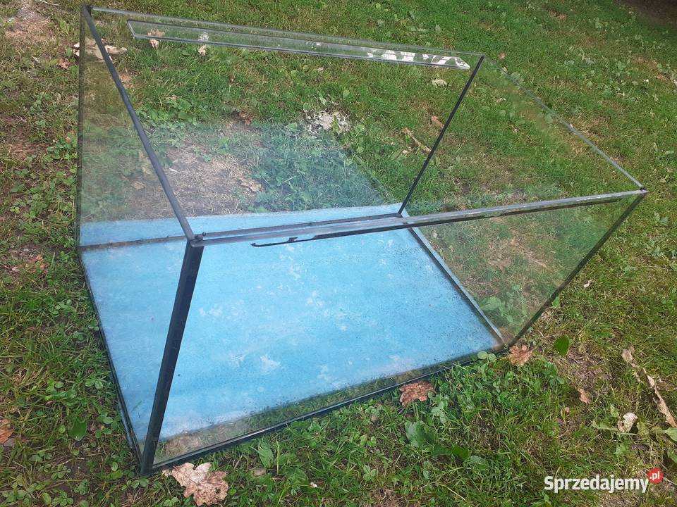 Sprzedam akwarium Ryby Elbląg