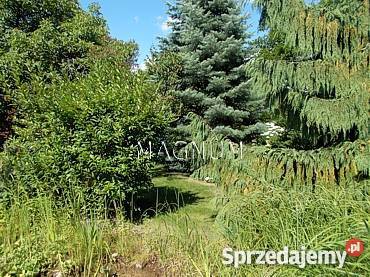 dom 230m2 Suchy Las wielkopolskie