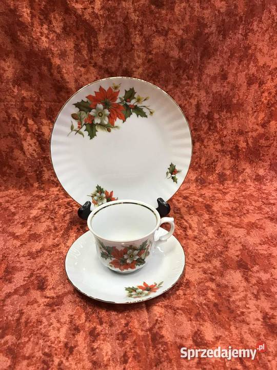 Filizanka Retsch Wunsiedel poinsecja Kielce