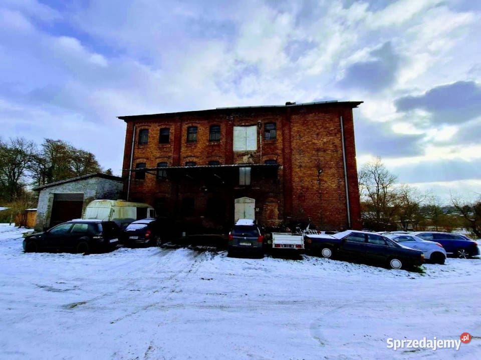 sprzedaży lokalu Chojna 65062m2