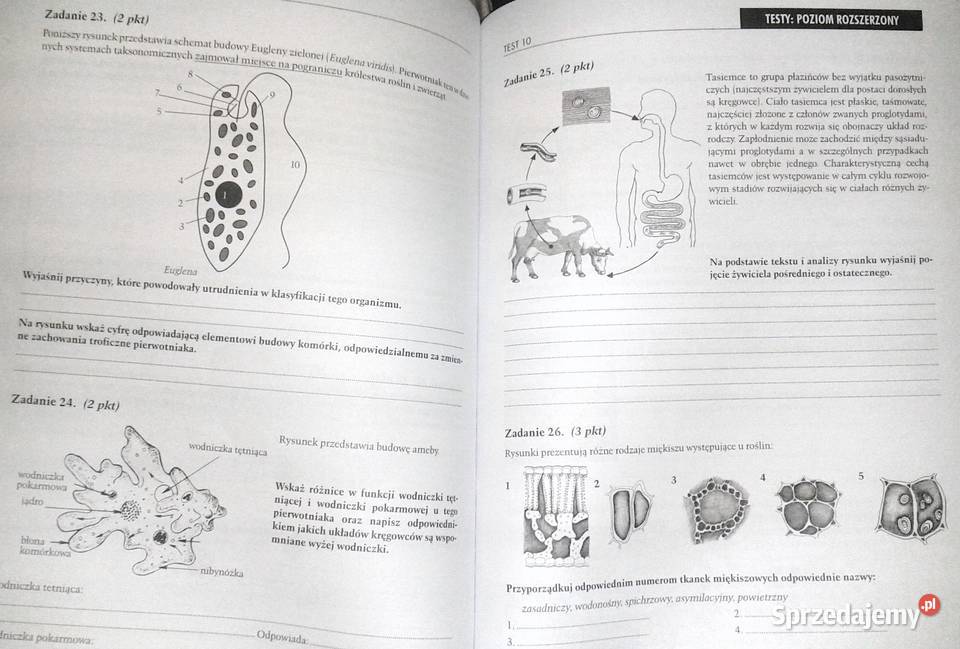 Testy Matura Biologia Sebastian Grabowski lubelskie Chełm
