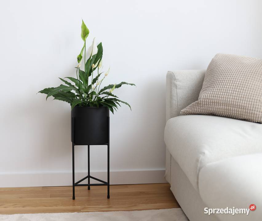 Kwietnik Metalowy Stojak na kwiaty z donicą 50 Wyposażenie wnętrz Sobienie-Jeziory