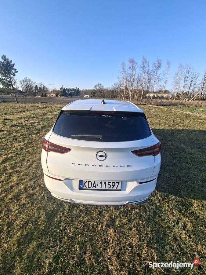 Opel Grandland x małopolskie Tarnów