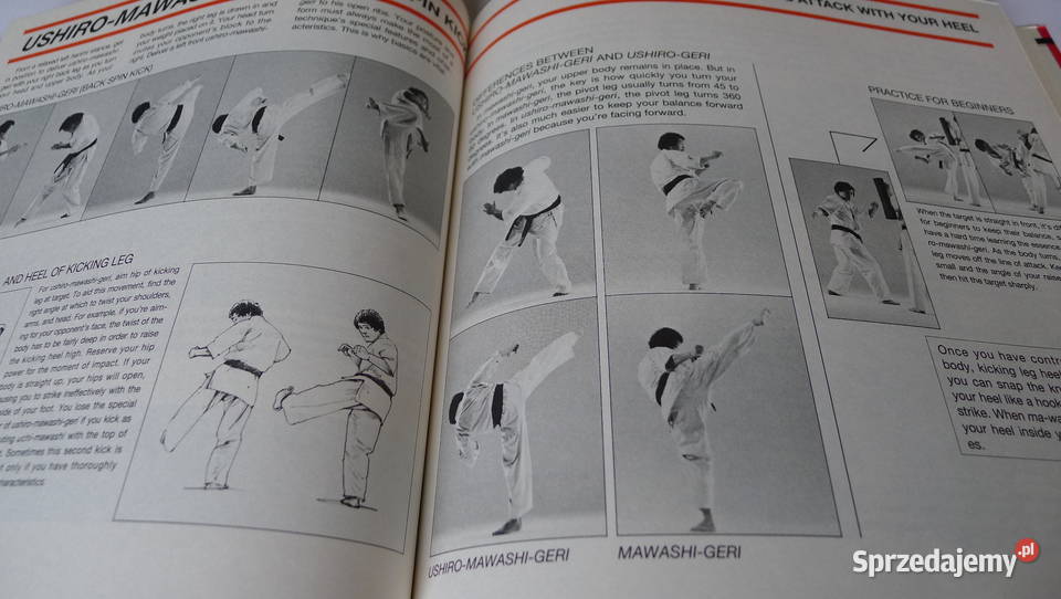 OYAMA Perfect Karate Ashihara Fitkin Collins Radom