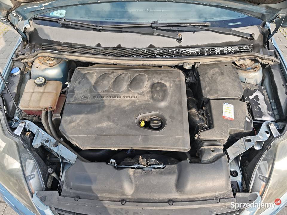 Focus mk2 2008 polift klima xenon obniżone kurtyny powietrzne Focus Gorzów Wielkopolski
