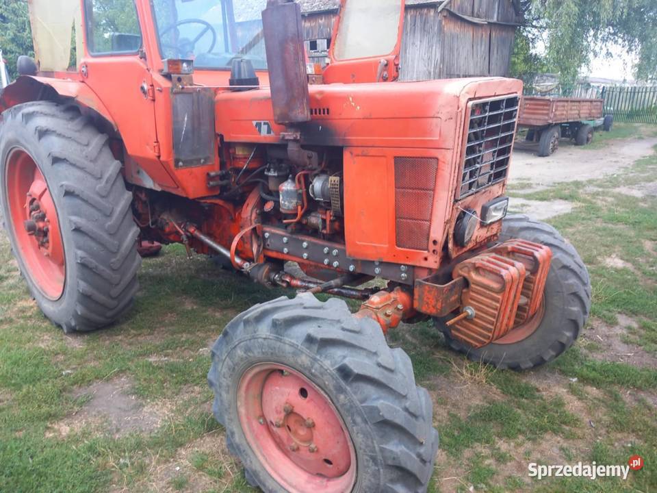 Traktor MTZ 82 Opole Lubelskie sprzedam