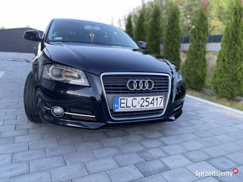 Audi A3 8P 16 TDI Łowicz