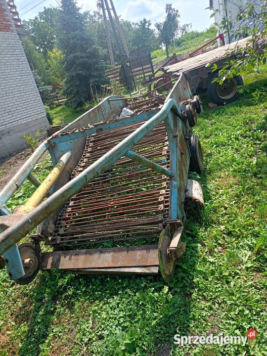 Kopaczka elewatorowa świętokrzyskie Pełczyska sprzedam
