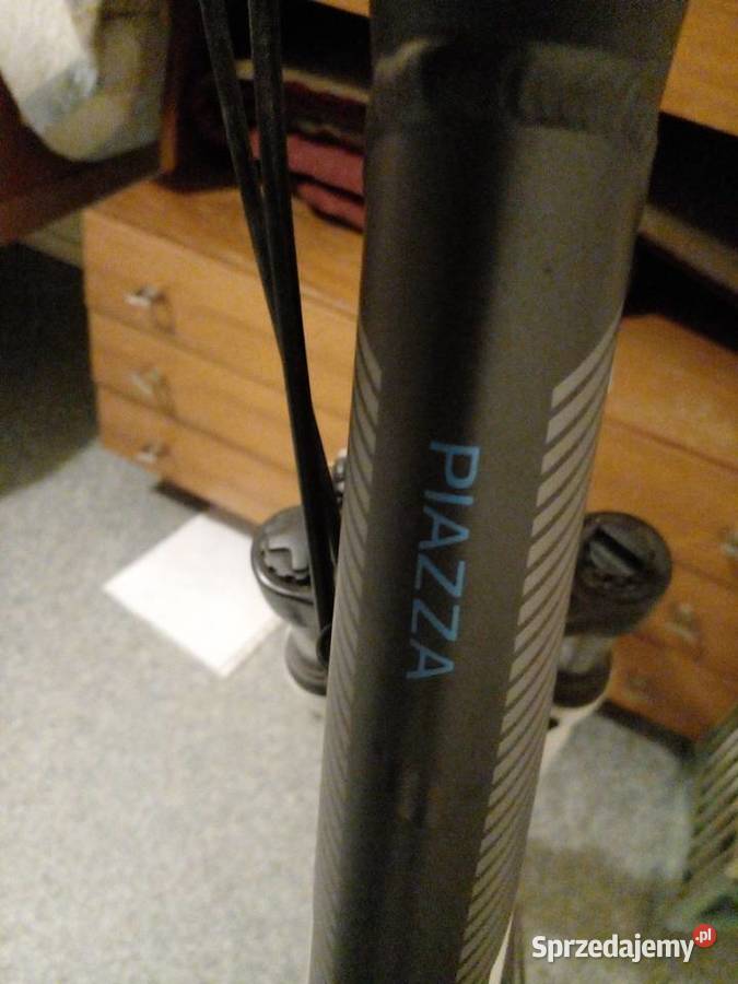 Rower Pegasus Piazza 28 rama 45 3x7