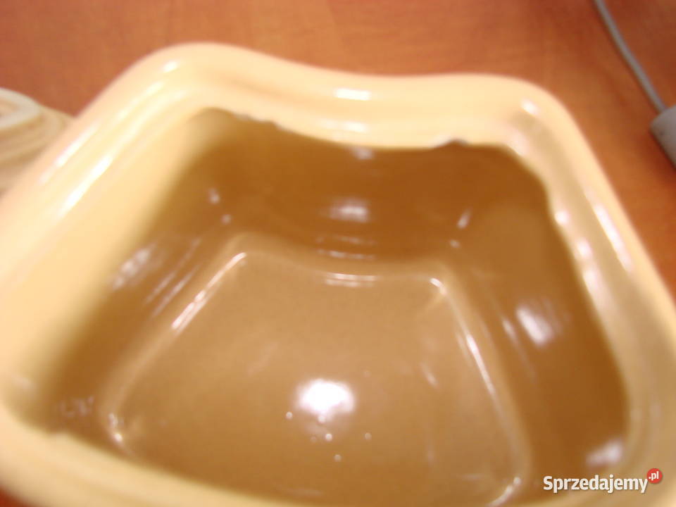 Bolesłąwiec pojemnik Pruszcz Gdański