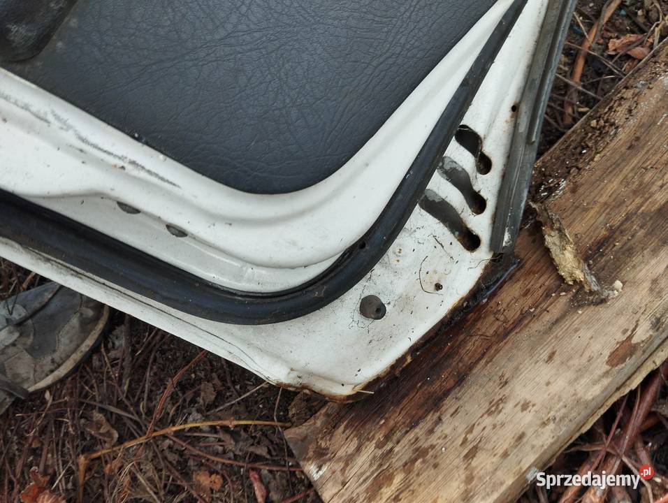 Drzwi Hyundai H100 strona pasażera Poznań