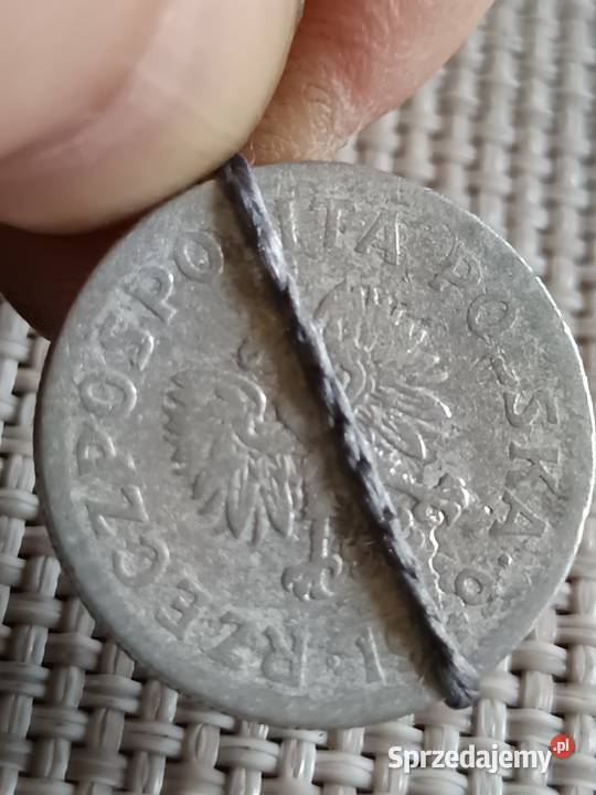 Sprzedam 50 groszy 1949 mala skretka Chełm sprzedam